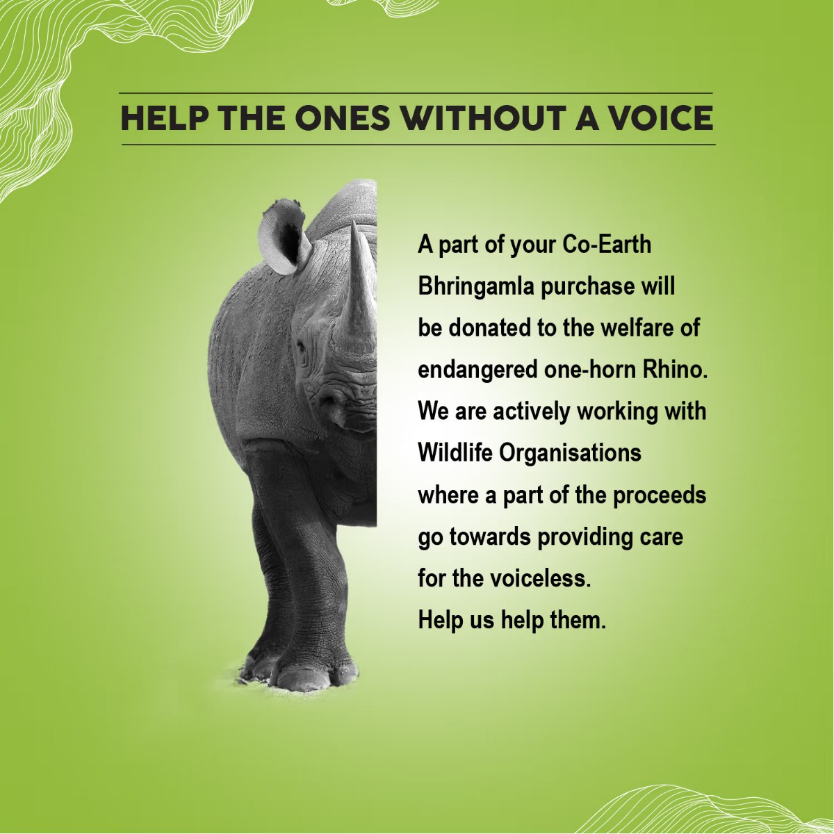 Colorbar Co-Earth Bhringamla Shampoo, 300 ml, Pack of 1 Colorbar Co-Earth Bhringamla Shampoo, 300 ml, Pack of 1