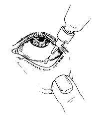 Moxigram-D Eye Drops 5 ml, Pack of 1 EYE DROPS Moxigram-D Eye Drops 5 ml, Pack of 1 EYE DROPS