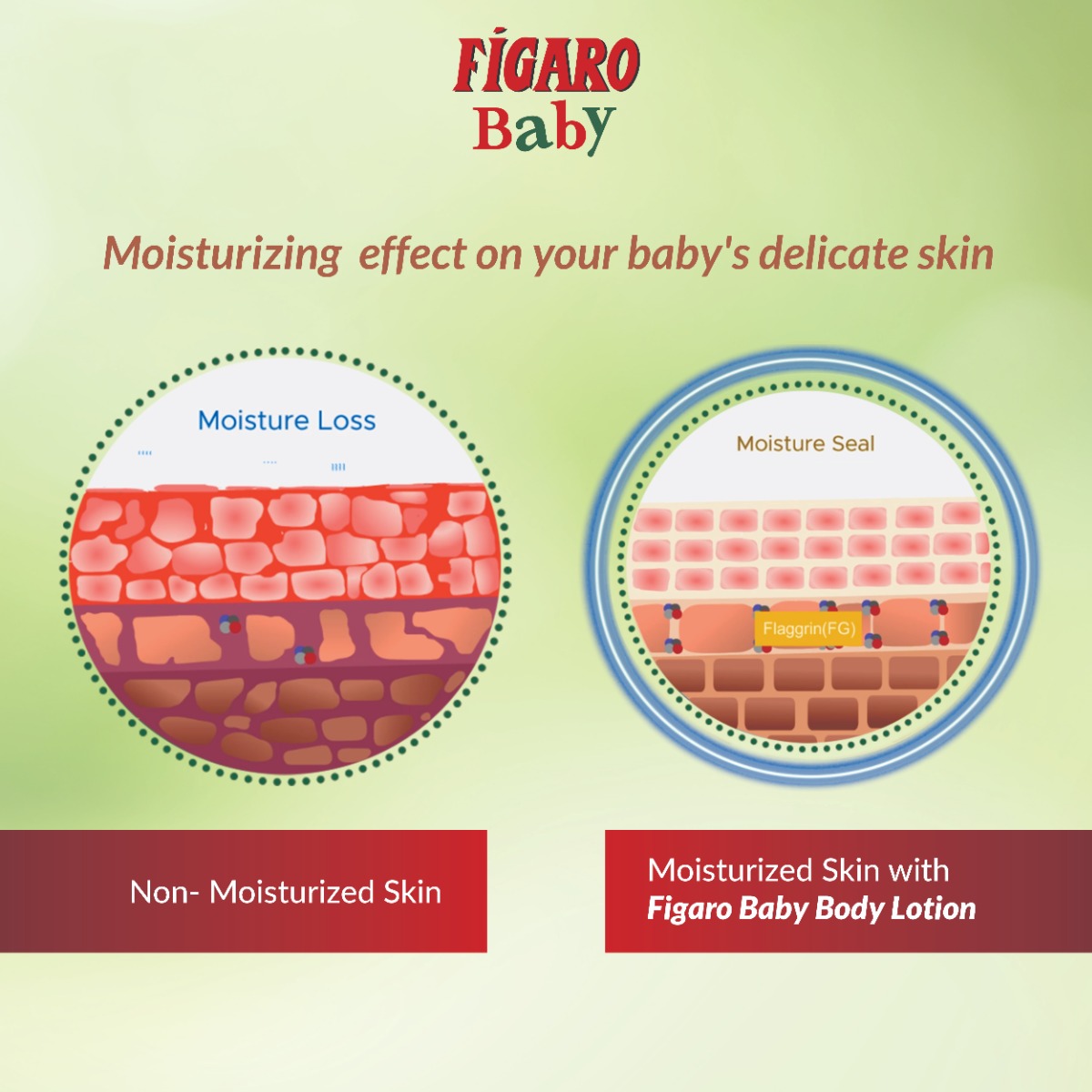 Figaro Baby Body Lotion, 400 ml, Pack of 1 Figaro Baby Body Lotion, 400 ml, Pack of 1