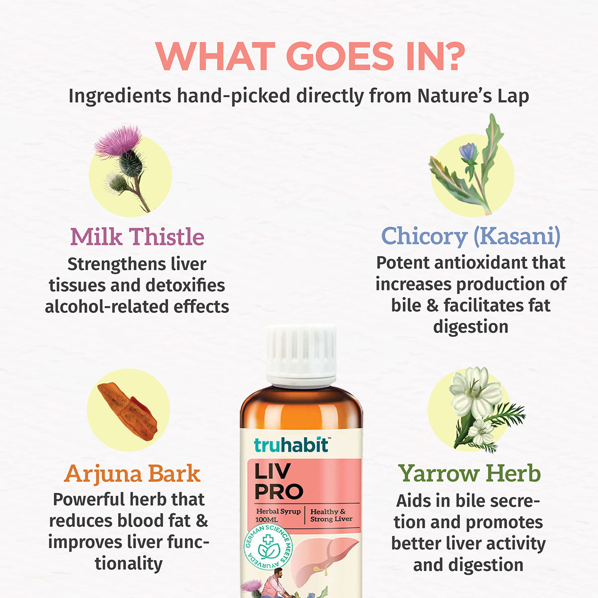 TruHabit Livpro Milk Thistle Liver Detox Herbal Syrup, 100 ml, Pack of 1 TruHabit Livpro Milk Thistle Liver Detox Herbal Syrup, 100 ml, Pack of 1