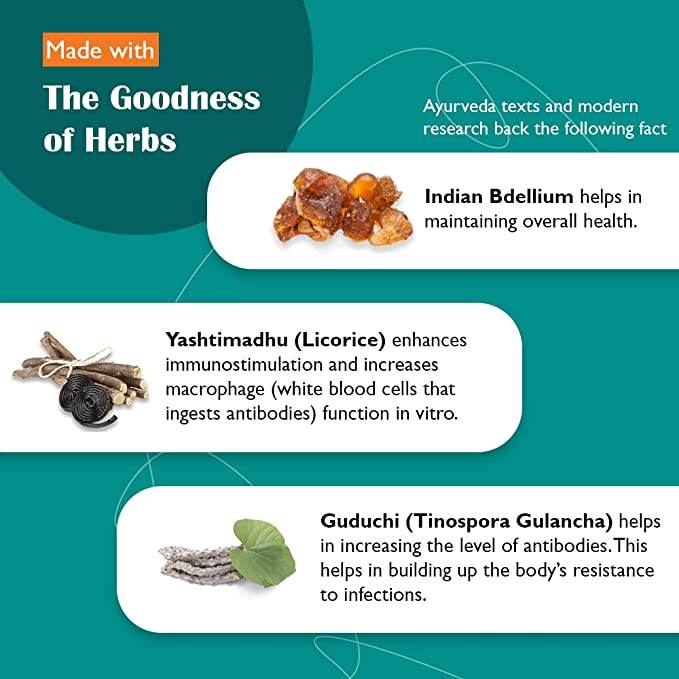 Himalaya Septilin, 60 Tablets, Pack of 1 Himalaya Septilin, 60 Tablets, Pack of 1