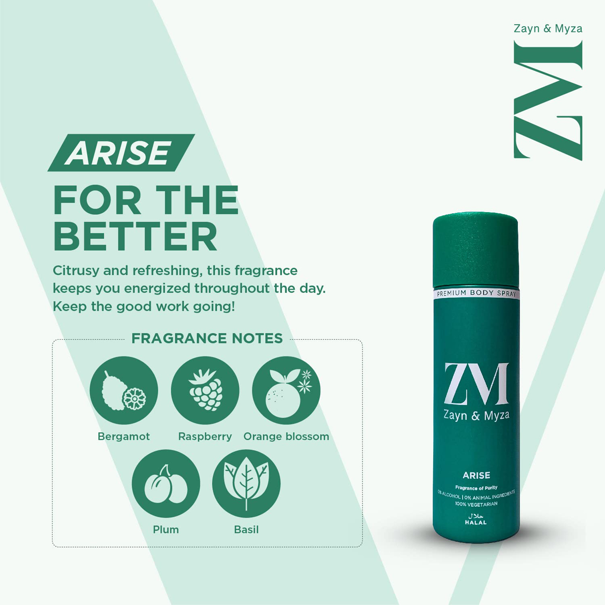 ZM Arise Body Spray, 200 ml, Pack of 1 ZM Arise Body Spray, 200 ml, Pack of 1